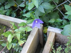 IMG_0144.JPG