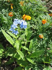 IMG_0147.JPG