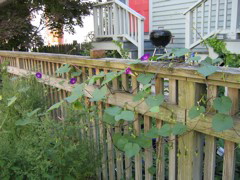 IMG_0150.JPG