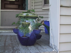 bigstrawberrypot.JPG