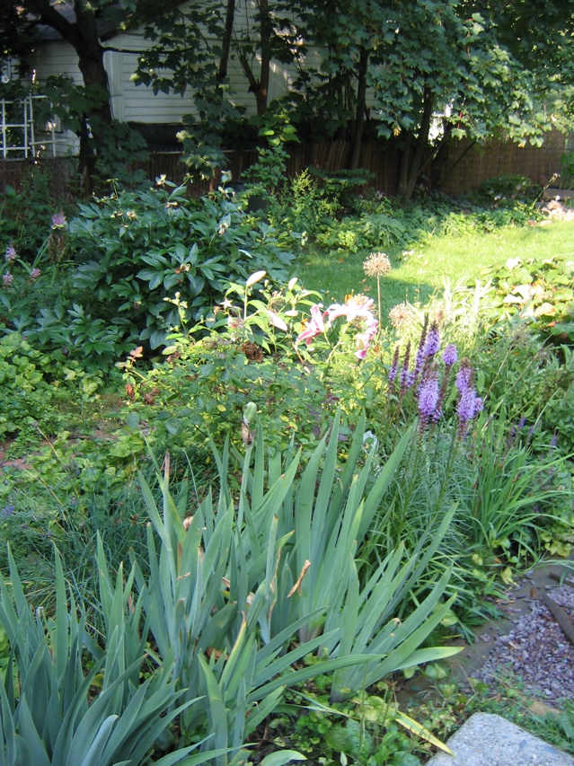 IMG_2864.JPG