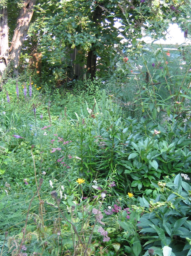 IMG_2867.JPG