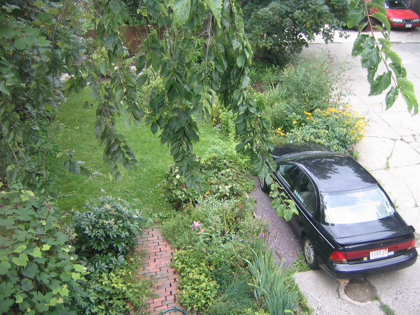 IMG_2874.JPG