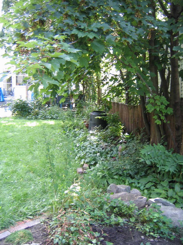 IMG_2884.JPG