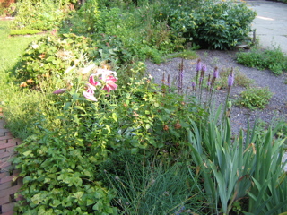 IMG_2863.JPG