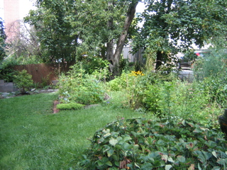 IMG_2877.JPG