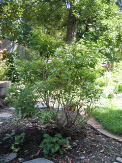 IMG_2886.JPG