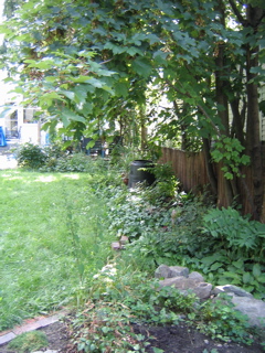 IMG_2884.JPG