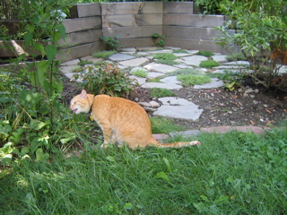 IMG_2890.JPG