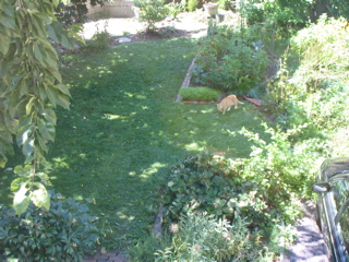IMG_2903.JPG
