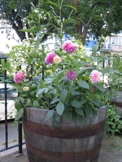 IMG_2914.JPG