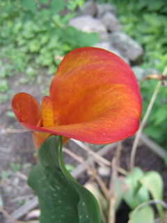 IMG_2840.JPG