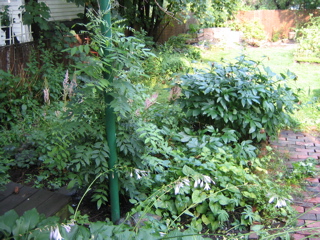 IMG_2849.JPG