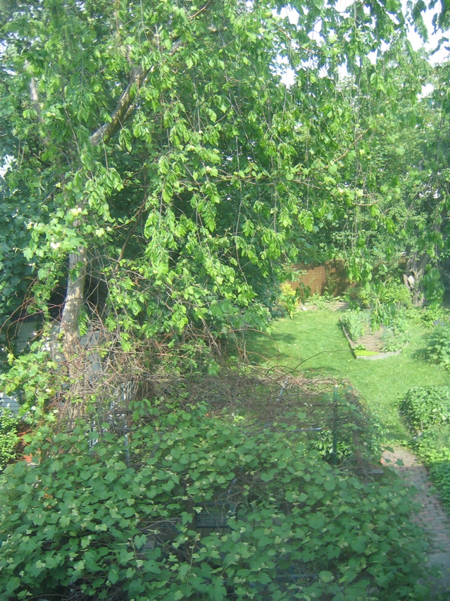 IMG_2733.JPG