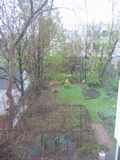 IMG_2679.JPG
