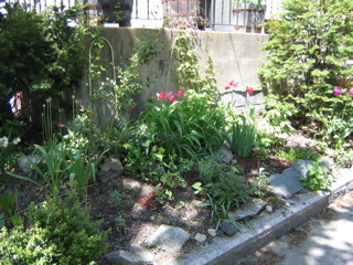 IMG_2700.JPG