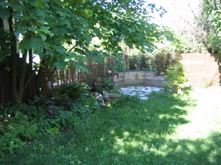 IMG_2719.JPG