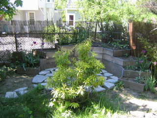IMG_2722.JPG