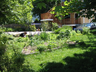 IMG_2726.JPG