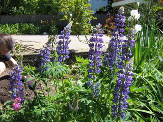 IMG_2720.JPG