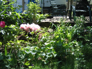 IMG_2730.JPG