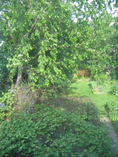 IMG_2733.JPG