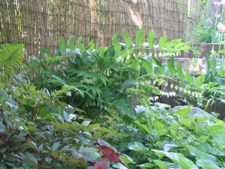 IMG_2754.JPG