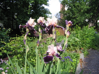 IMG_2758.JPG