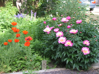 IMG_2762.JPG