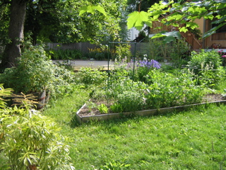 IMG_2771.JPG