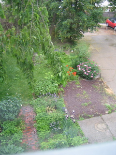 IMG_2776.JPG