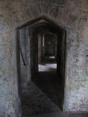 IMG_0781.JPG