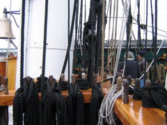 IMG_0403.JPG