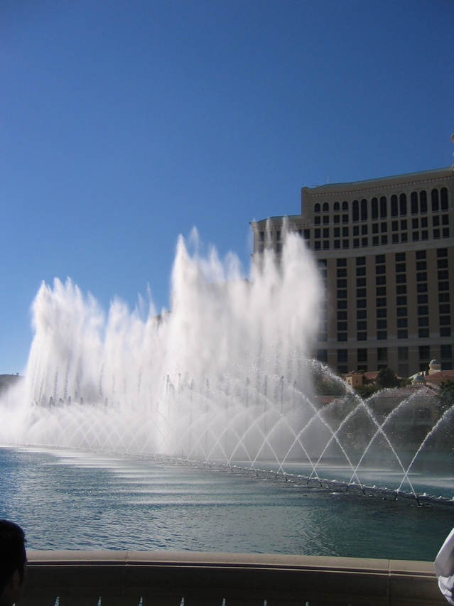 IMG_0290.JPG