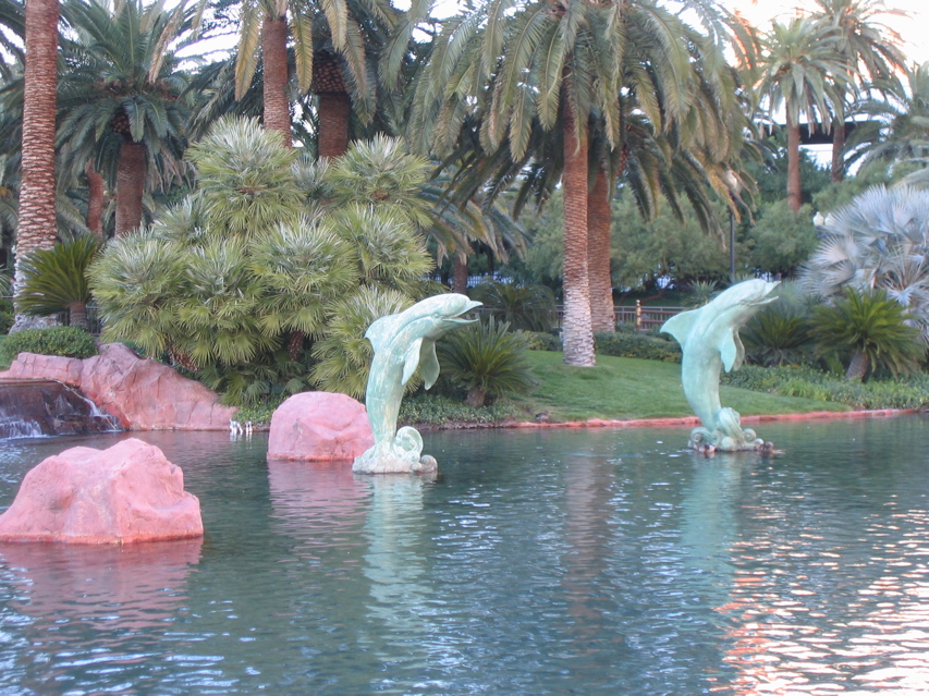 IMG_0350.JPG