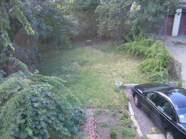 IMG_1284.JPG