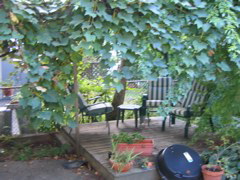 IMG_1287.JPG