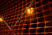 caught_in _web