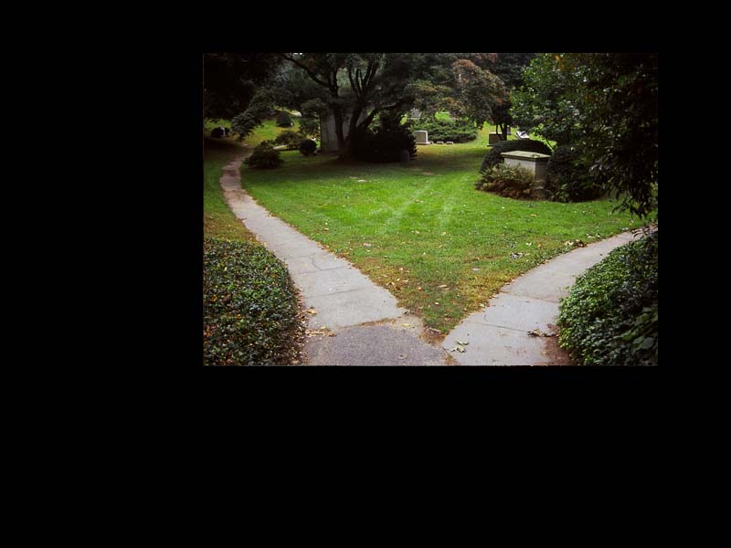 Mt. Auburn Photo Essay