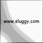Your brain on slugs