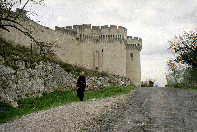 Medieval Fortress in Avignon