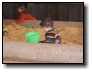 [200810190014.jpg]