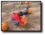[200810190020.jpg]