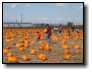 [200810190023.jpg]