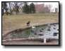 [200603180030.jpg]