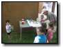 [200606180004.jpg]