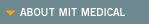 About MIT Medical