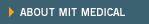 About MIT Medical