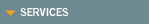 Clinical Services