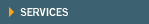 Clinical Services
